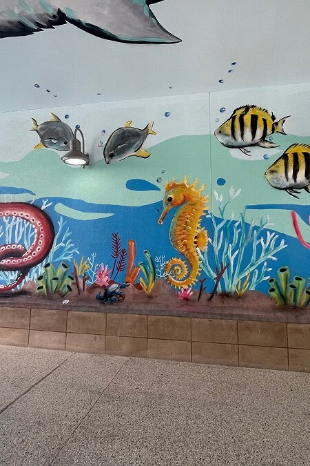 card-marine-life-mural