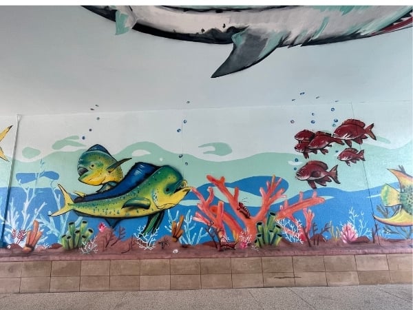 pwfl-marine-life-mural-3