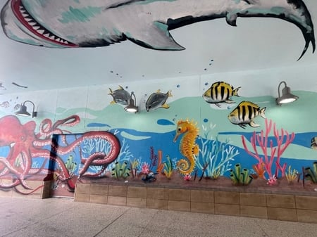 Panama City Beach Marine Life Mural Guide